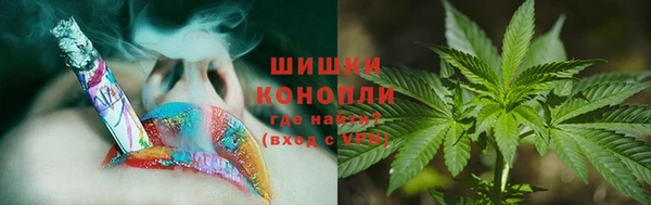 кокаин Белокуриха