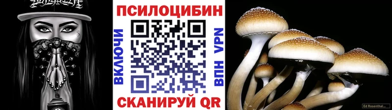 Галлюциногенные грибы Psilocybine cubensis  закладки  hydra маркетплейс  Нелидово 